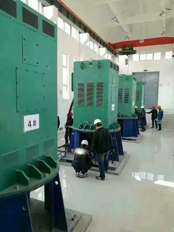 YKS4001-2某污水处理厂使用我厂的立式高压电机安装现场